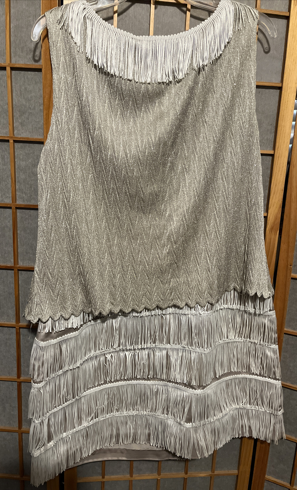 Vintage Arianna by Rachel Kaye Fringe Flapper Dress Style 271981 USA Size 14