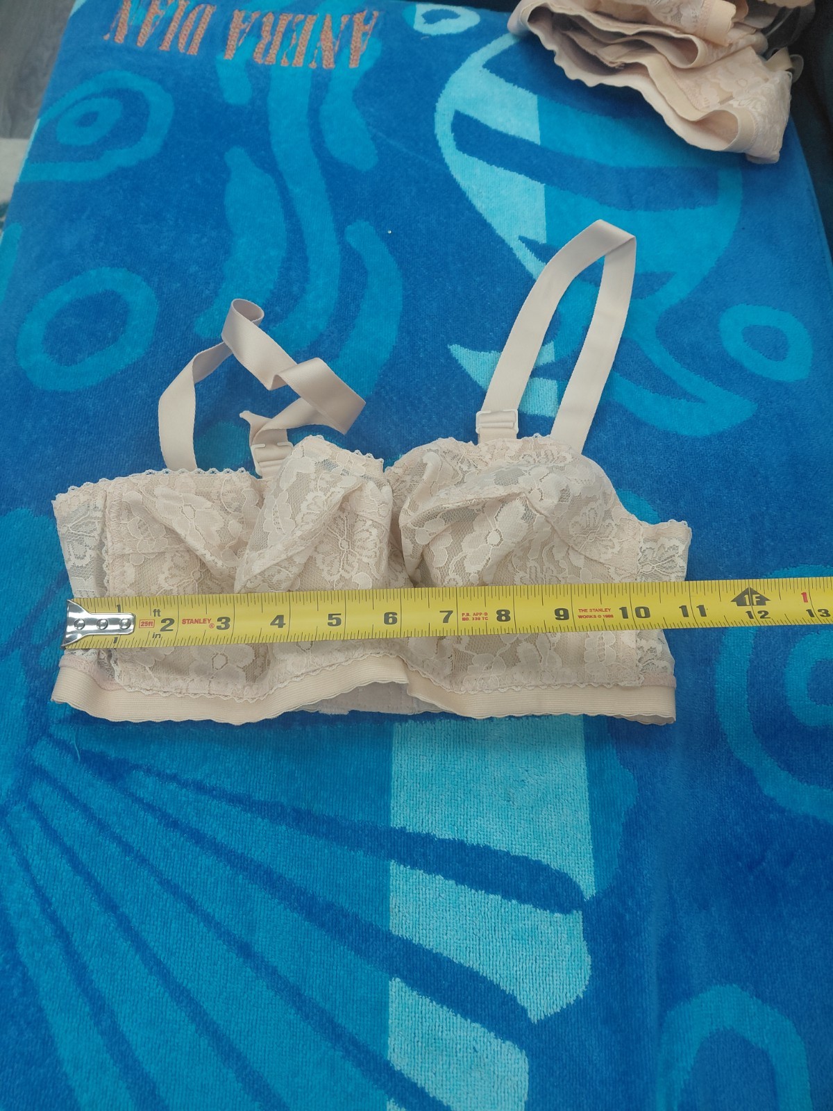 Vintage Lady Cameo Lingerie Bra Size 30F