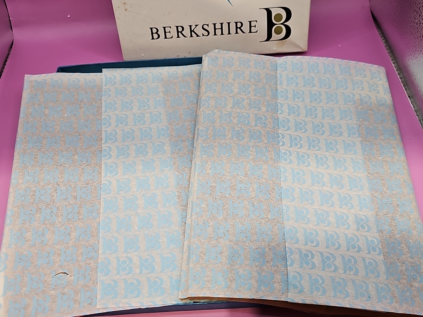 Berkshire Vintage Hosiery. Lot Of 2 Pair Garter Stockings 10M 351 Tint CU In Box