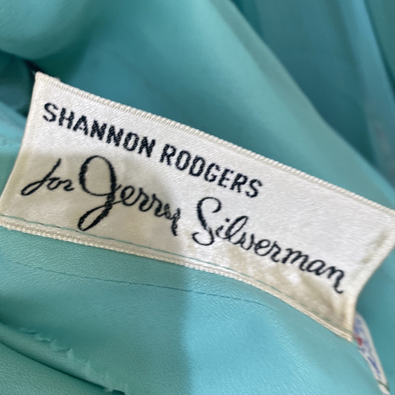 Vintage 1970’s Maxi Dress Cocktail Sheer Pleated Green 6 Shannon Rodgers