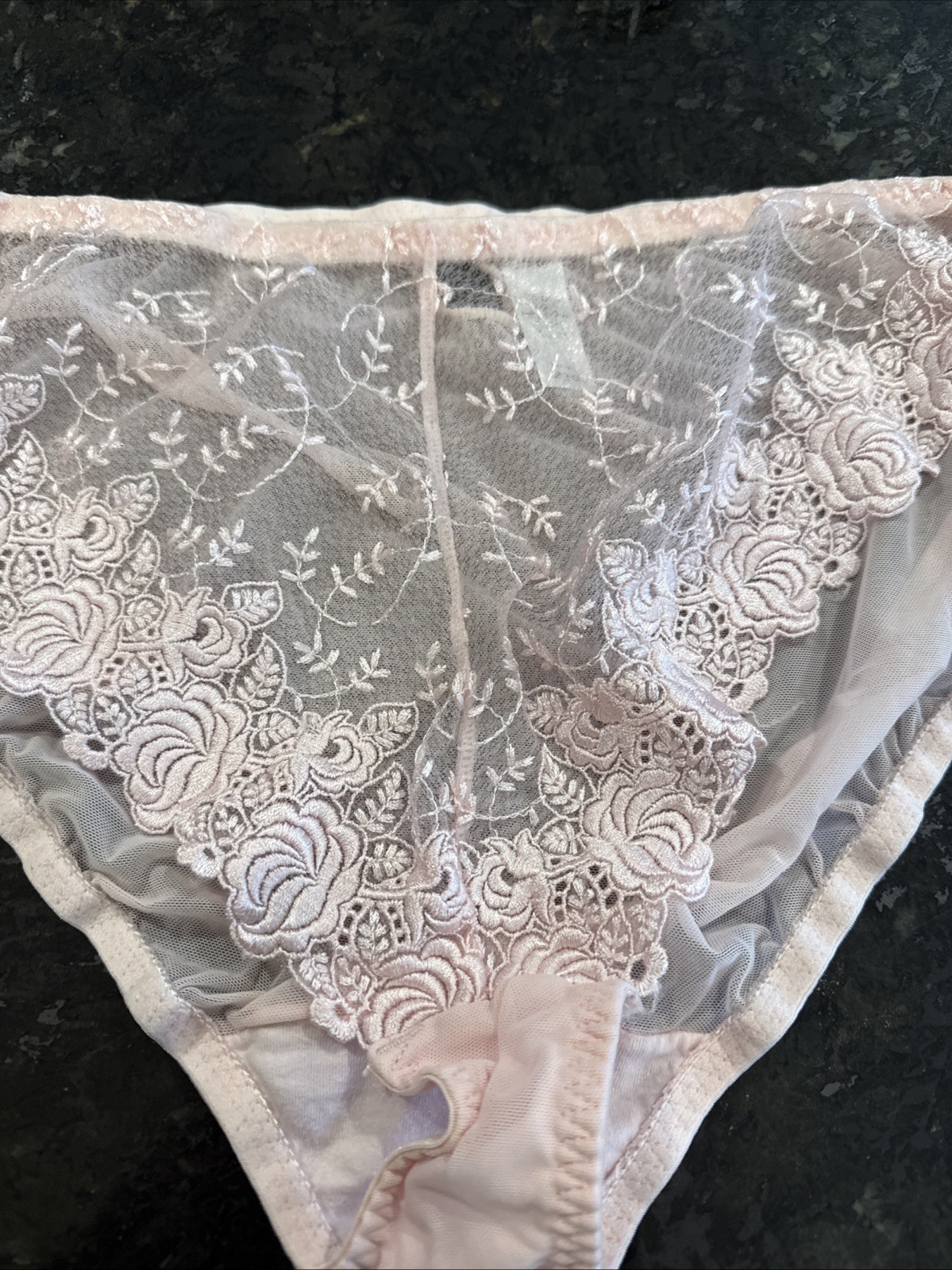 Vintage DELICATES Sheer Mesh and Lace Bikini Panties 2XL