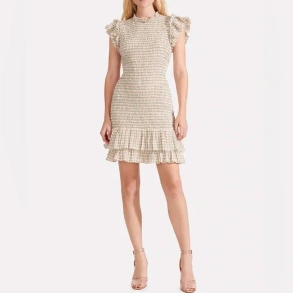 Veronica Beard Size 2 Cici Smoked Gingham Dress