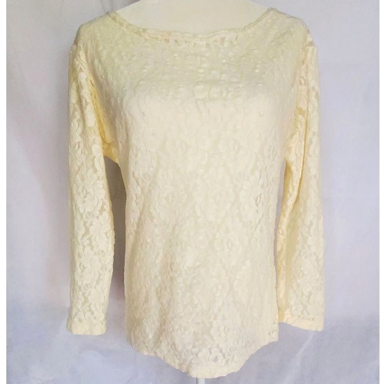 Ellen Ashley Sheer Lace 90s Y2K Grunge Fairy Stretch Boatneck Shirt Womens Large