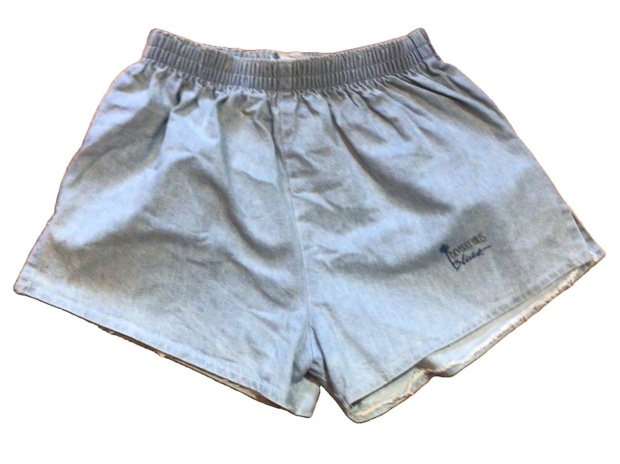 Vintage 80s Beverly Hills Blues Women’s Denim Jean Shorts Y2K