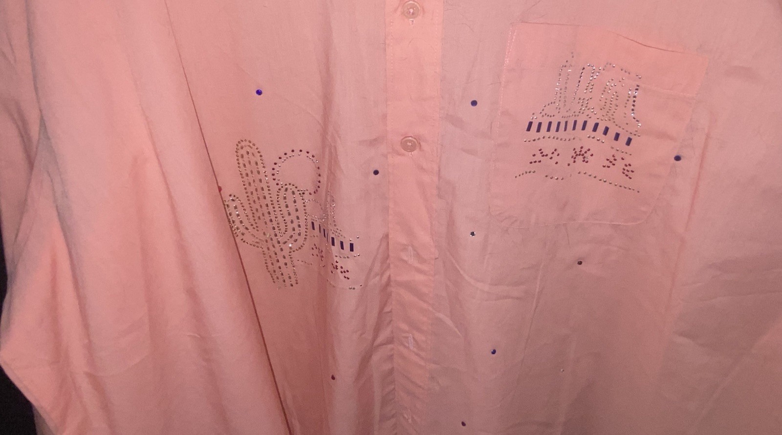 INFINITY – Salmon Shirt XXL Southwest Theme Button Down Embellished NEW FS