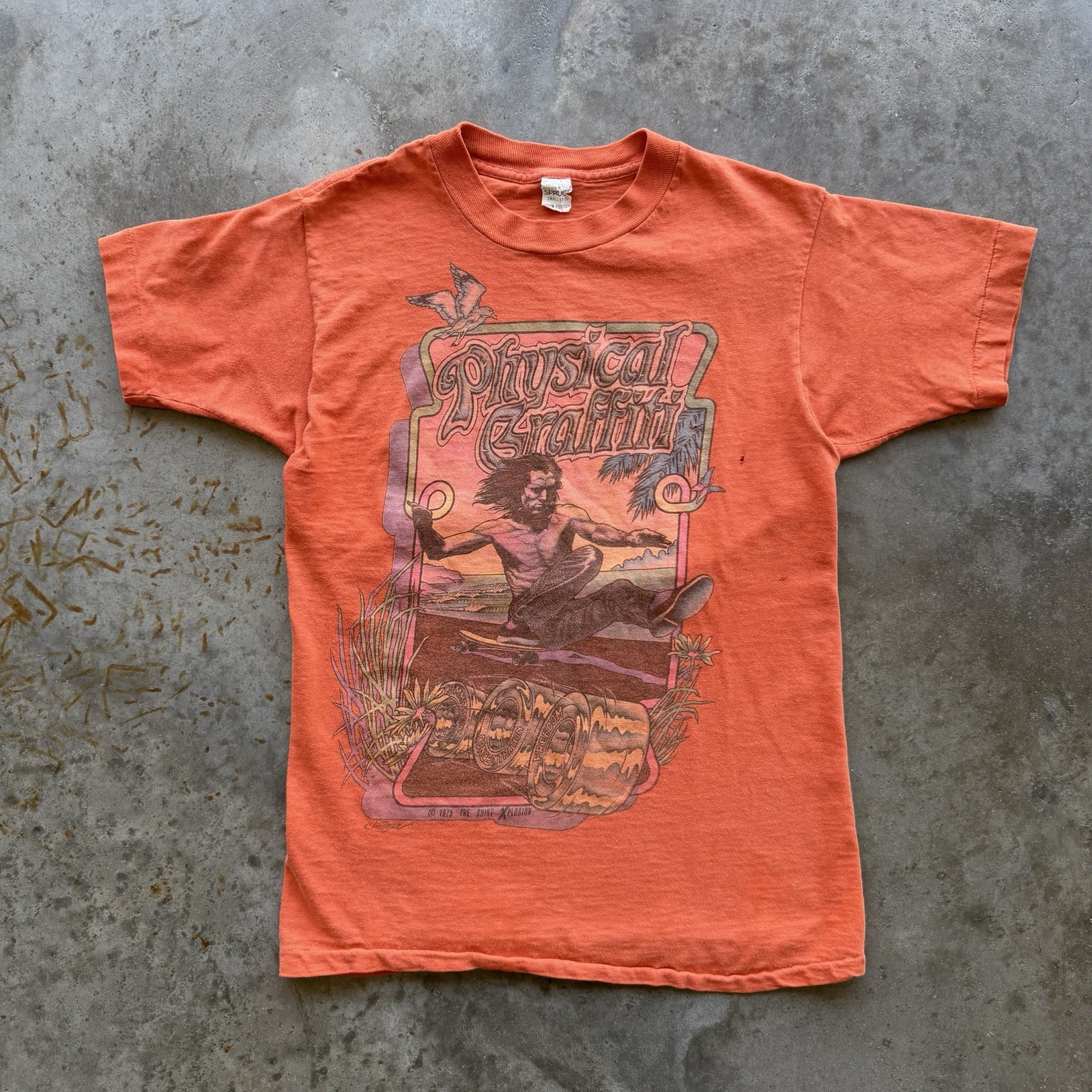 VTG 70s “Physical Graffiti” Orange Baby Skate Tee Size S Jay Adams