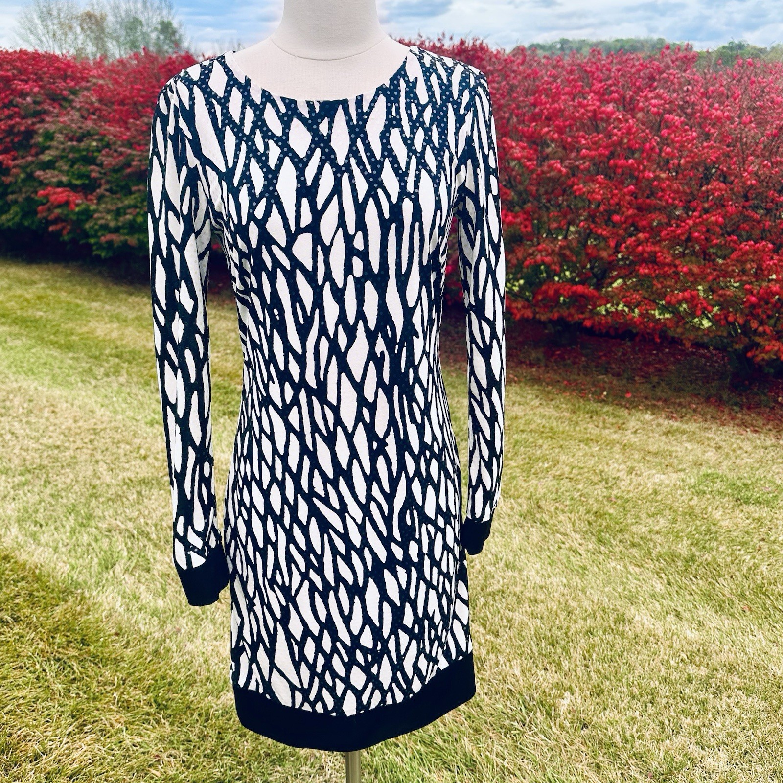Cache Vintage Dress