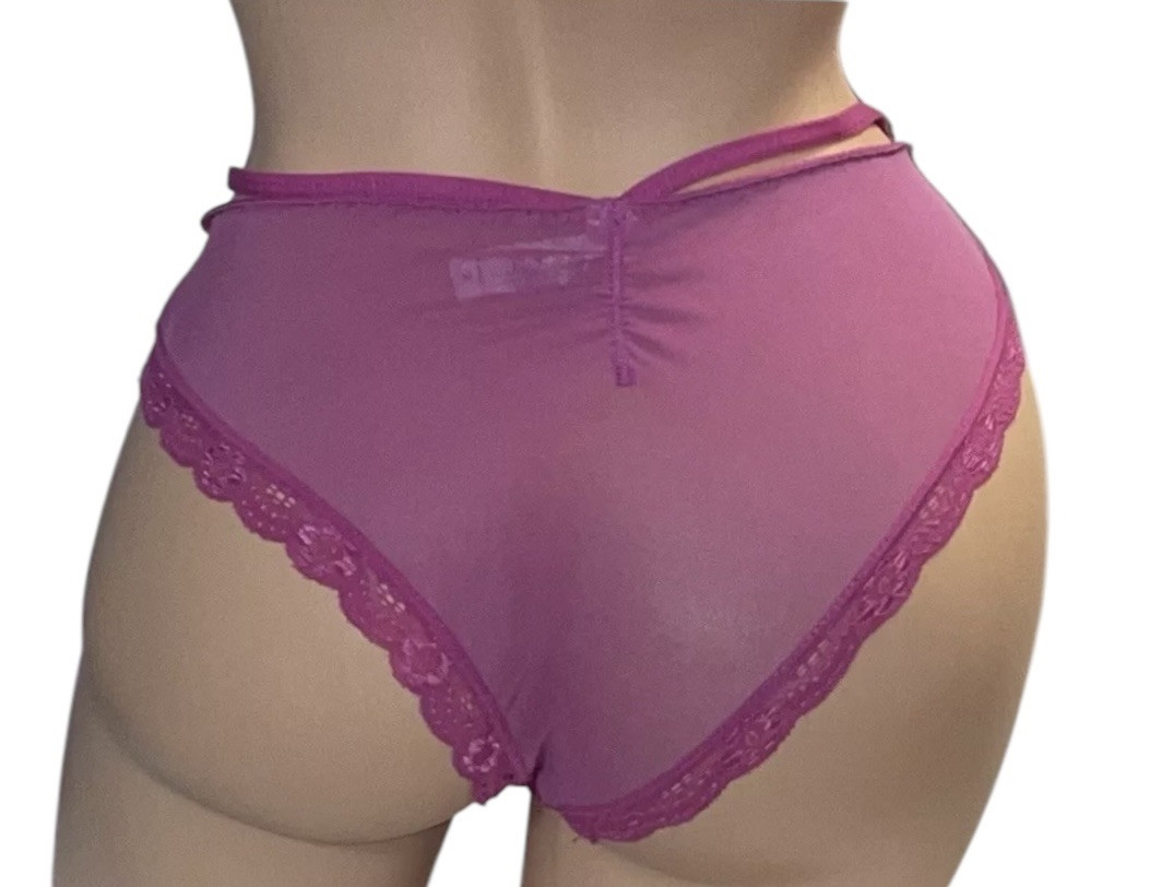 SENSUAL Pink Shiny Lace Front Sheer Mesh Back Bikini Panties Womens M NWOT