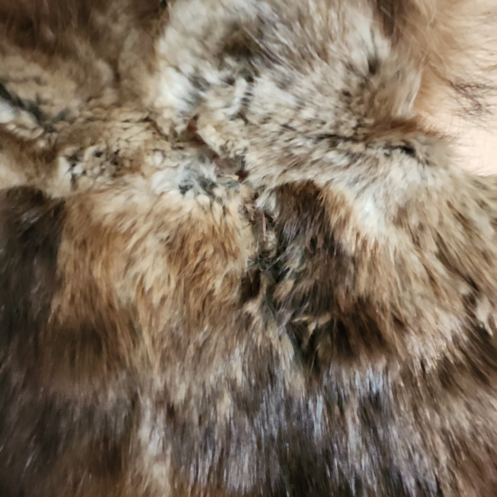 Vintage Rabbit Fur Coat w/ Raccoon Fur Collar & Trim Paisley Lining 41″ -AS IS-