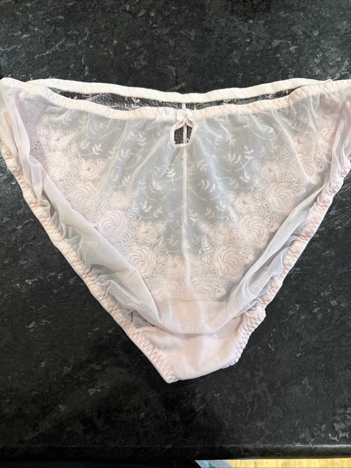 Vintage DELICATES Sheer Mesh and Lace Bikini Panties 2XL