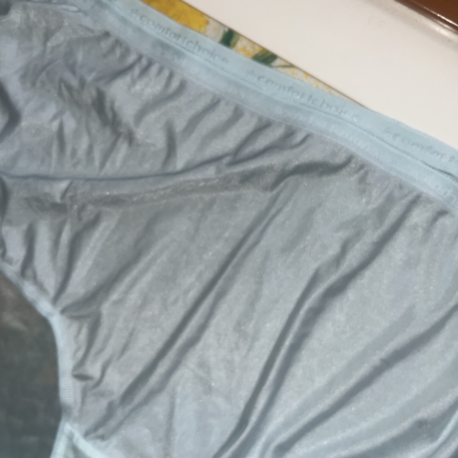 2 Panties Nylon size 16X plus, Comfort Choice brief Green And Blue