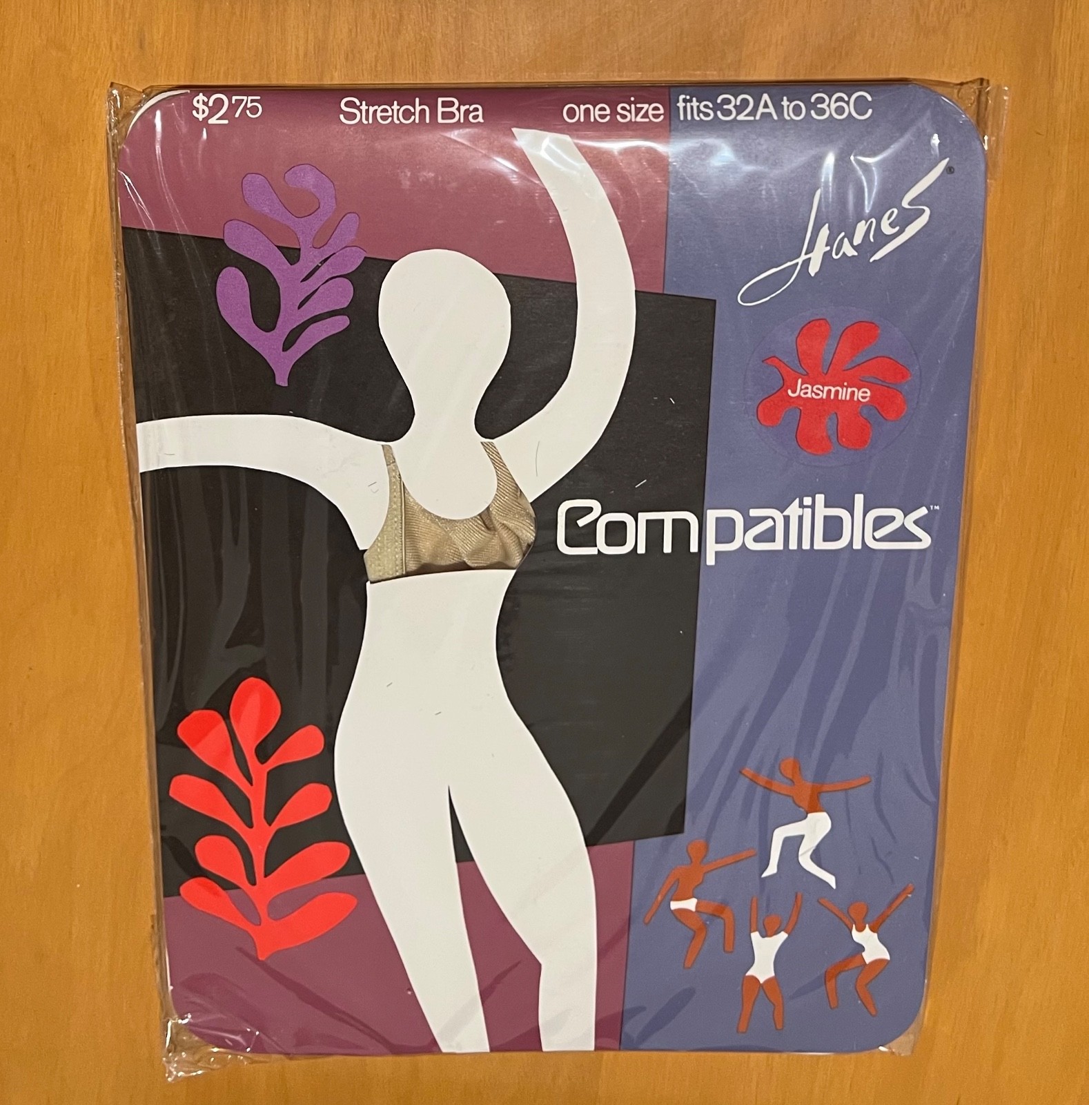 NOS Vintage 1970s Hanes Sport Stretch Bra One Sz 32A-36C Jasmine Nylon Deadstock