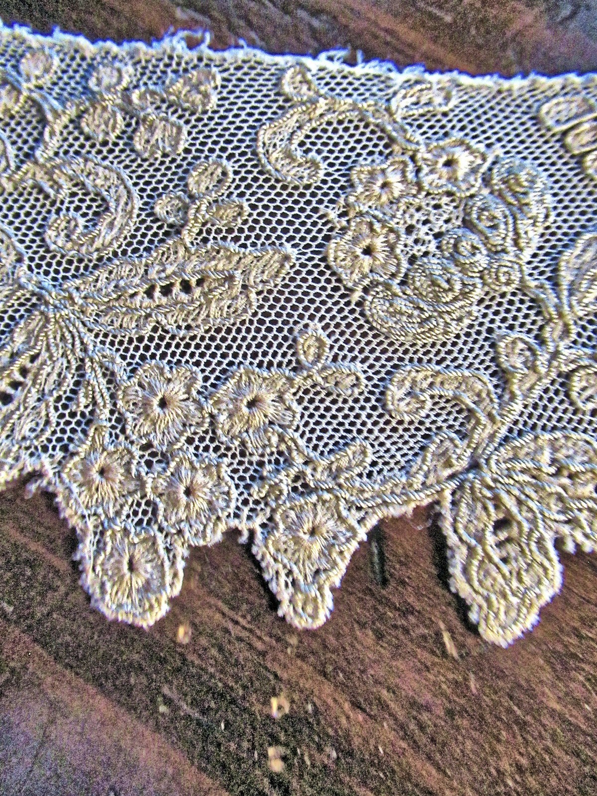 Vtg Lady’s Dress Collar Lt-Beige Net Lace Embroidered Floral Design
