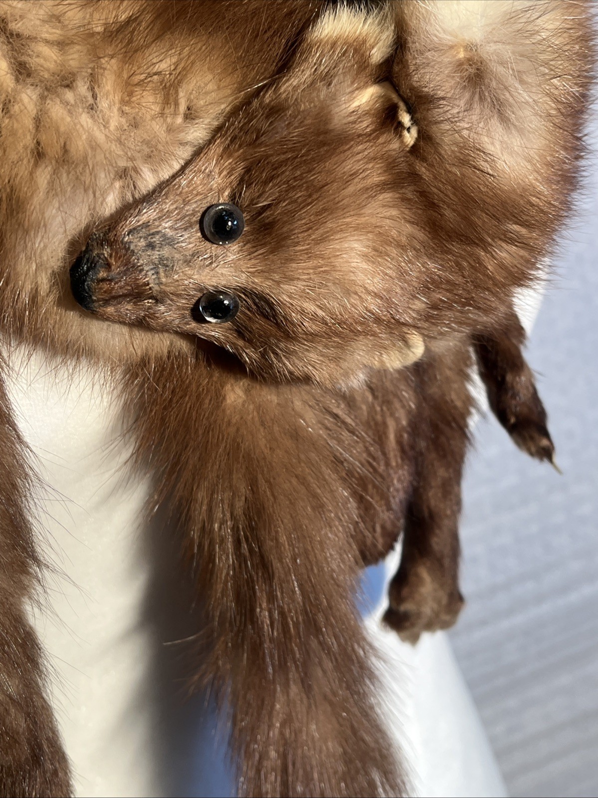 VTG Genuine Collectible MINK SABLE FUR Wrap 3 FULL BODY PELTS Stole With CLIP