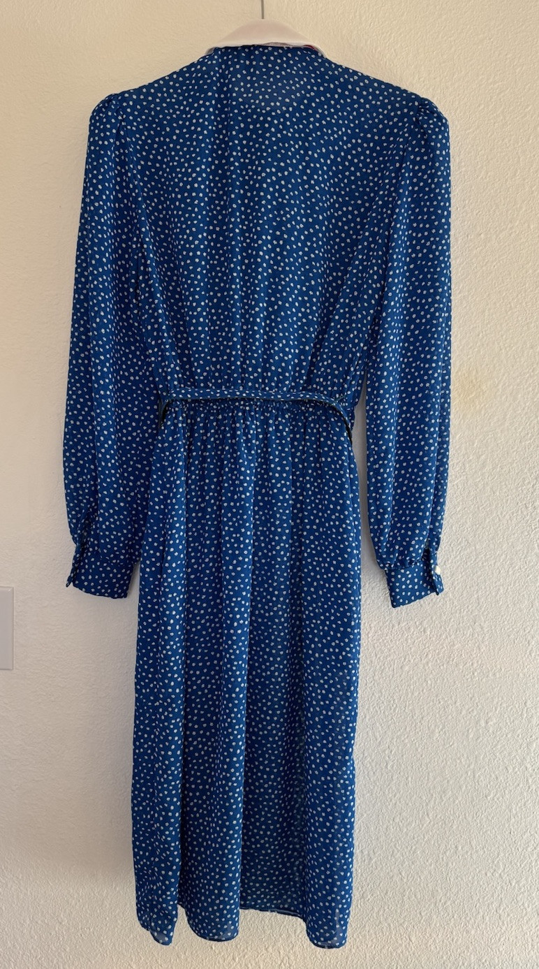 Vintage Women’s JT Dress Blue Polka Dot White Collar Red Scarf Dress 1970s