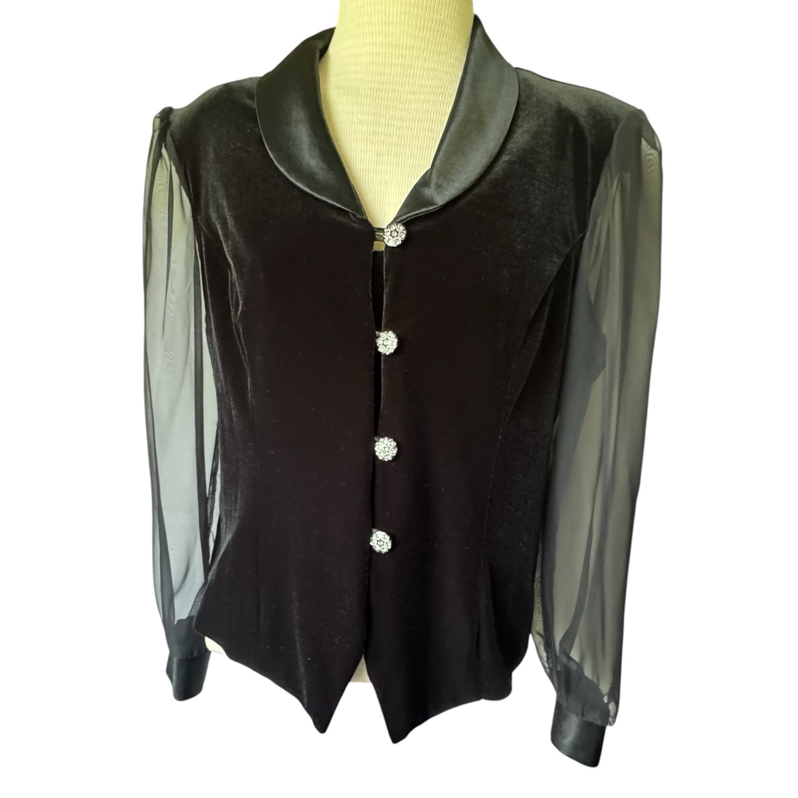 VTG Velvet Blouse Whimsgoth Black Sheer Sleeve Whimsical 14 Another Thyme Goth