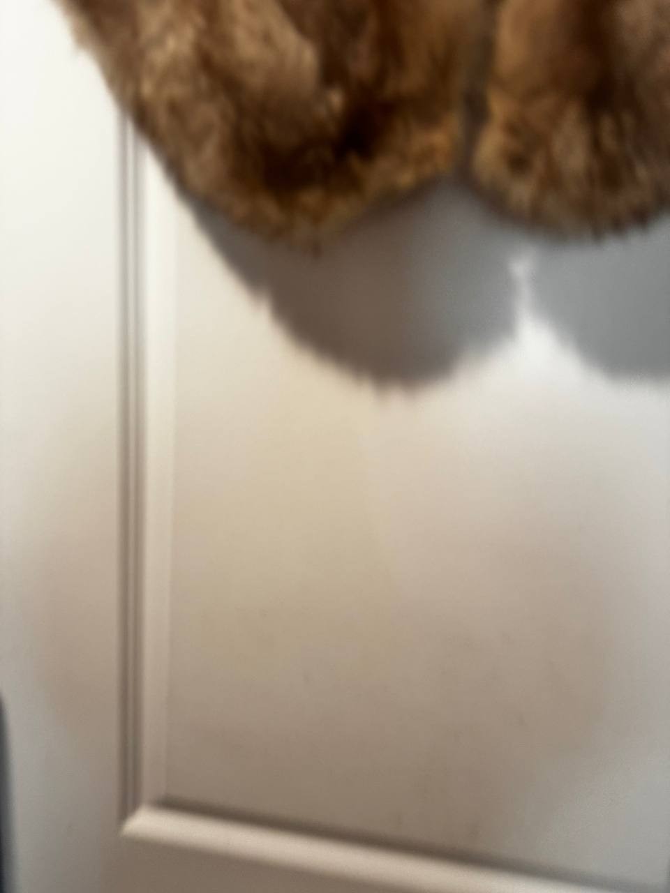 Vintage Real Raccoon Fur Collar – Natural Brown Fur Stole