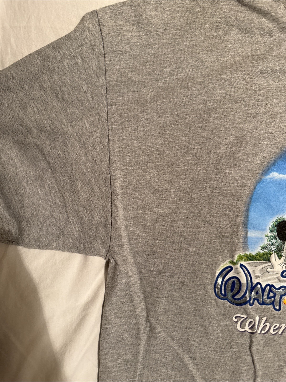 Walt Disney World Where Dreams Come True Gray T Shirt Cast Characters XL 22×26