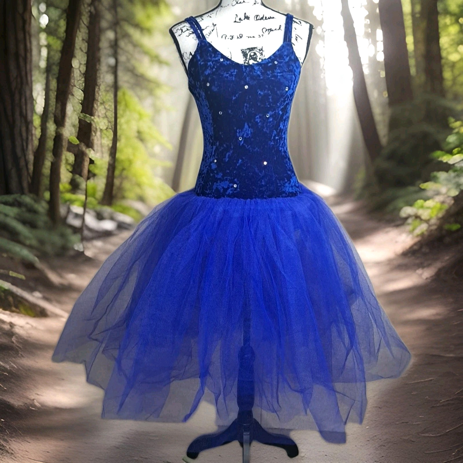 Velvet Rhinestone Corset Cupcake Fairy Full Tulle Skirt Dress Small Blue Fairy