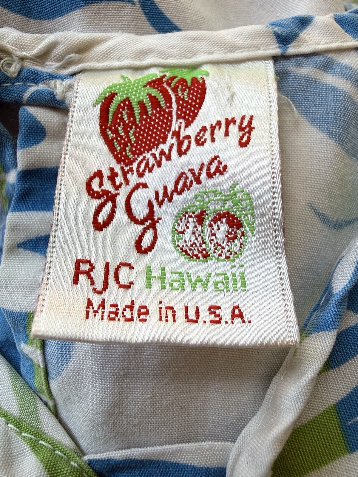 Strawberry Guava RJC Hawaii Vintage Smocked Empire Waist Blue & Green Tunic, XS