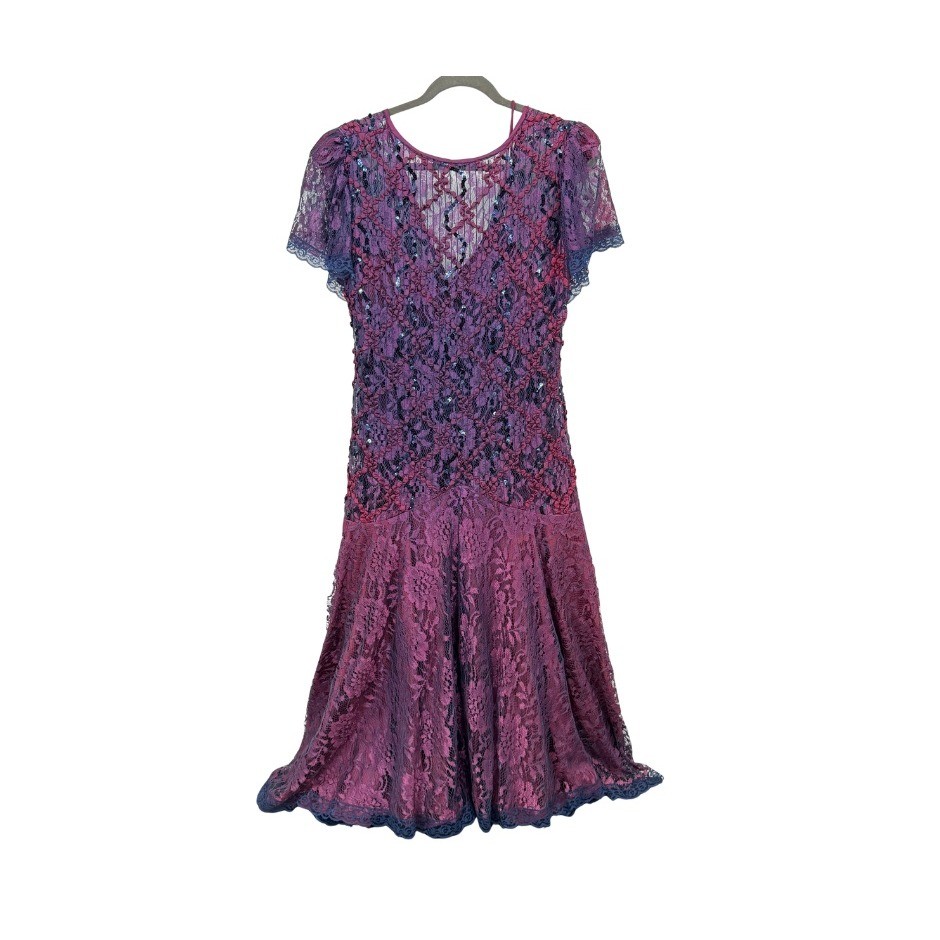 HW Collections VTG Fairy Core Formal Lace Drop Waist Whimsygoth Dress Sz 16**