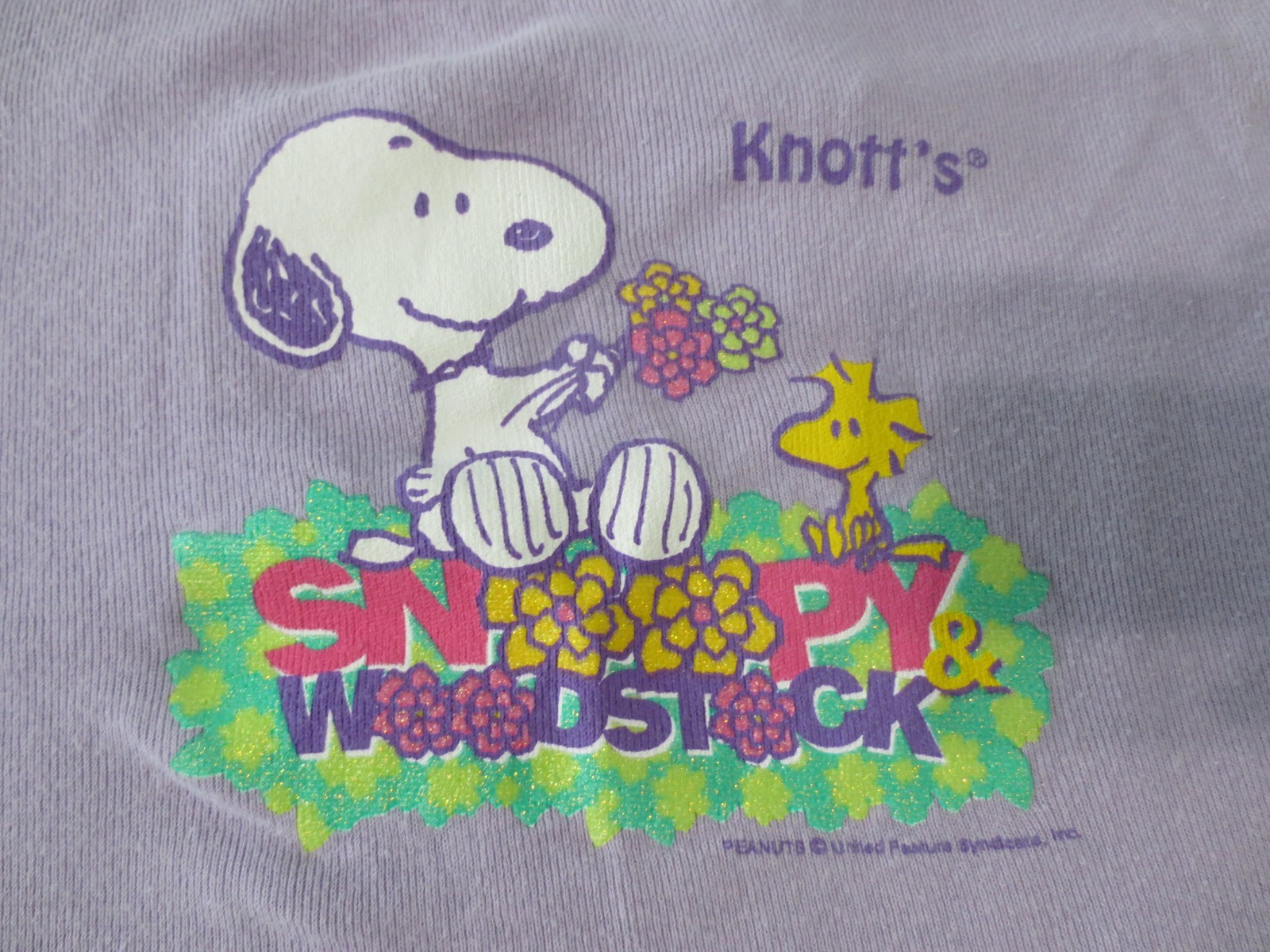 Vtg Knotts Berry Farm Snoopy & Woodstock Women’s Crop Top Sz L