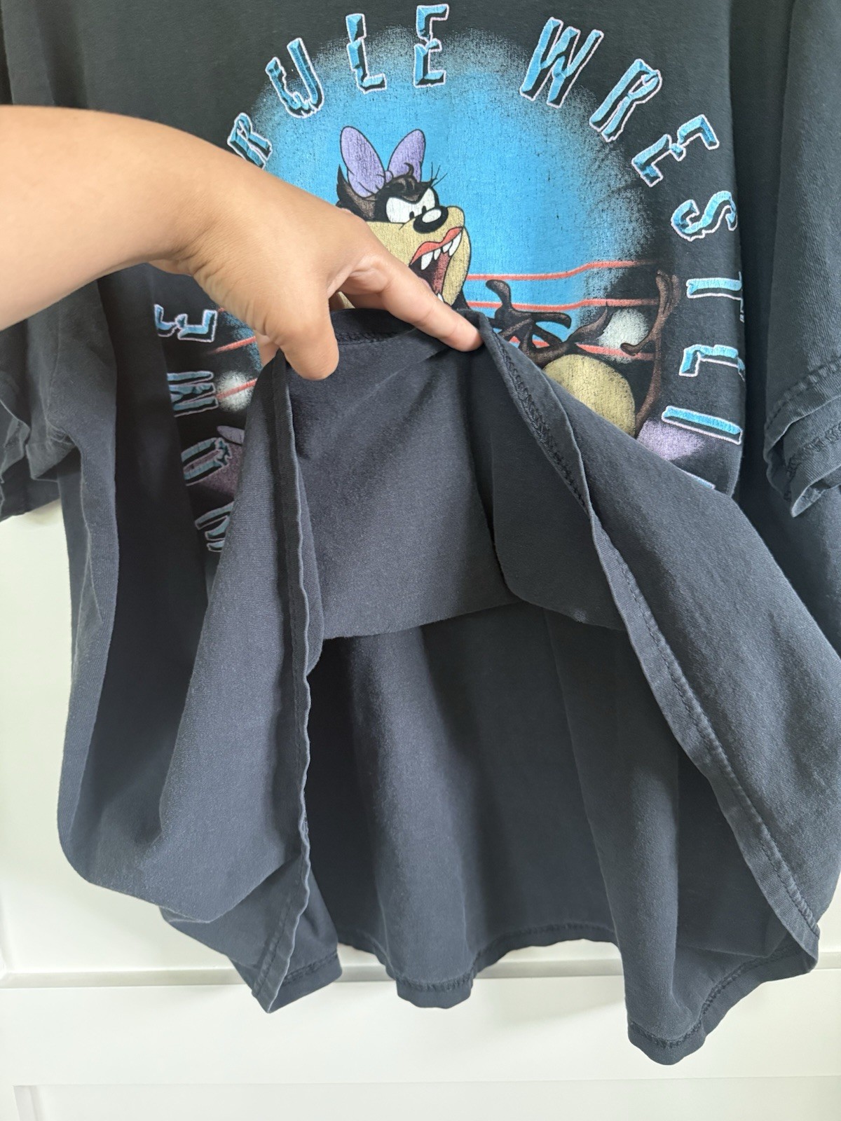 Vintage Tasmanian Devil Graphic 26W 28W Vintage 90s Y2K Looney Tunes Tee Women