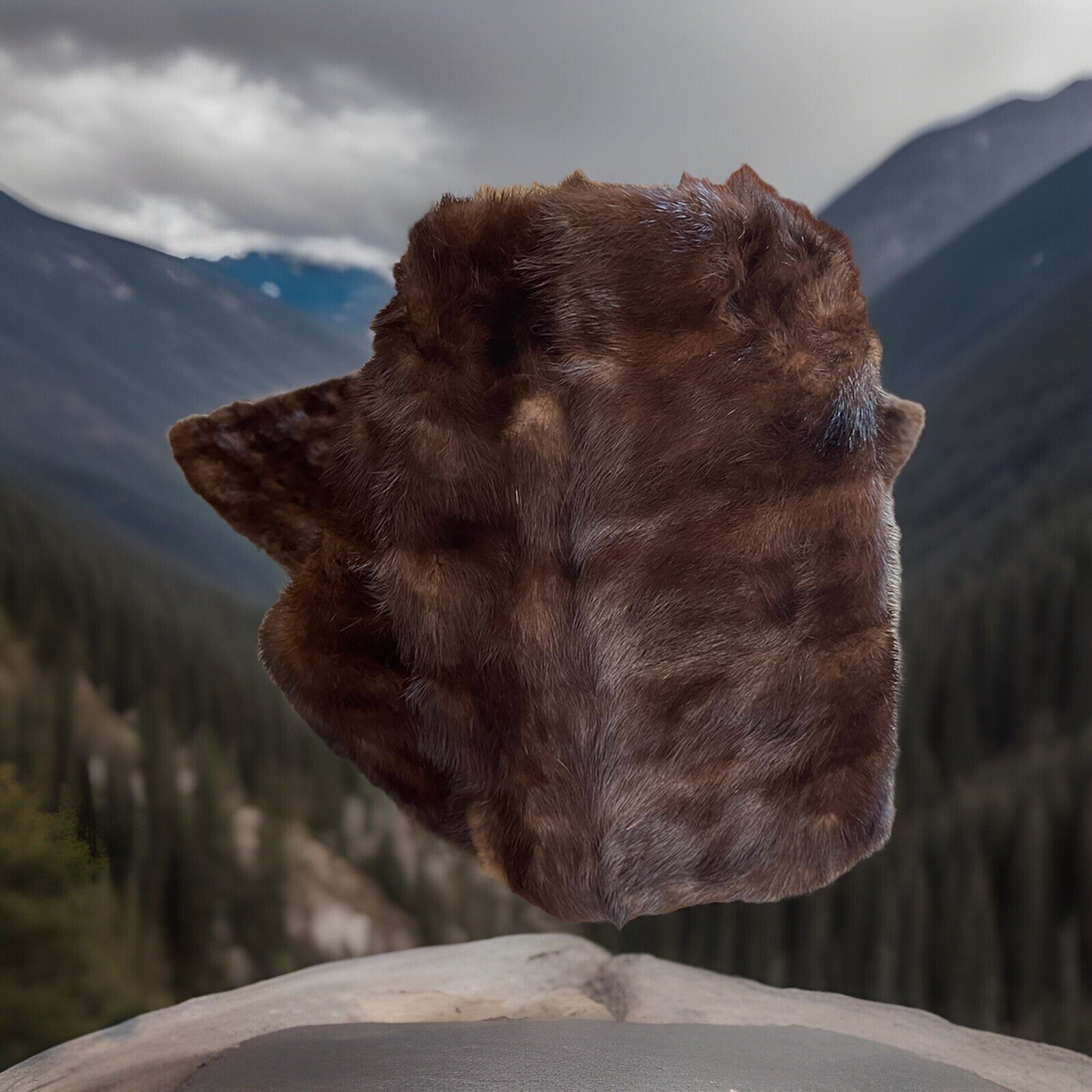 RARE VINTAGE MAHOGONY STRAIGHT MINK Straight Stole, 68” PELTA FURS, Signed