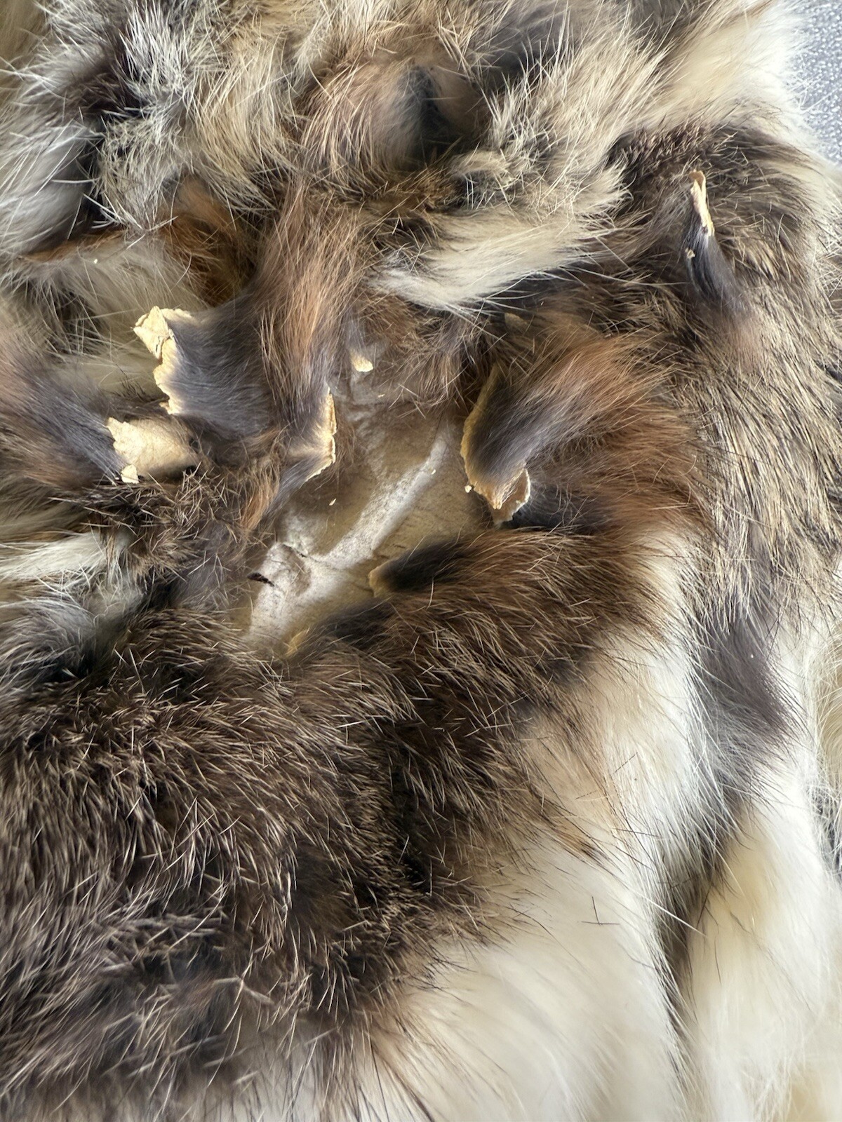 Mink Full Length Coat, Mink Stole, Rabbit Vest, Rabbit Jacket. Needs Repair A25