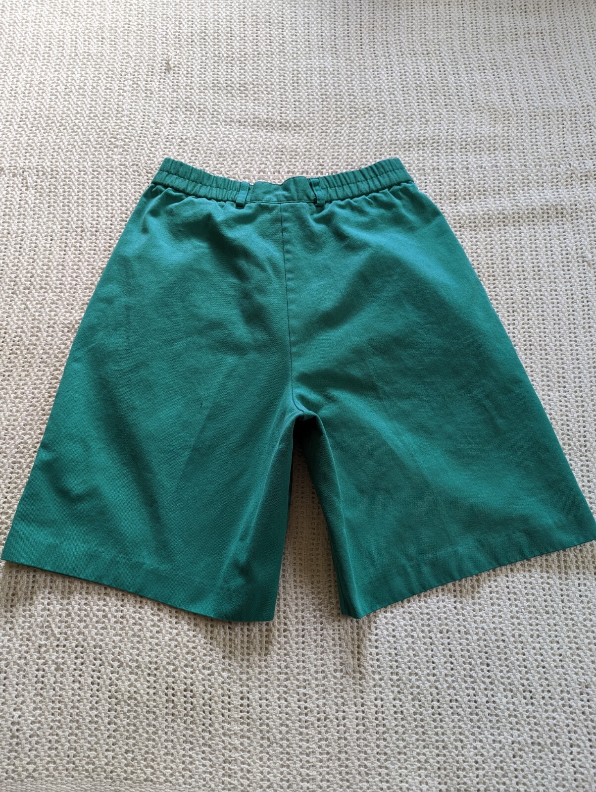 VTG Portraits by Northern Isles Women’s 6 Green Pleated High Waist Shorts USA
