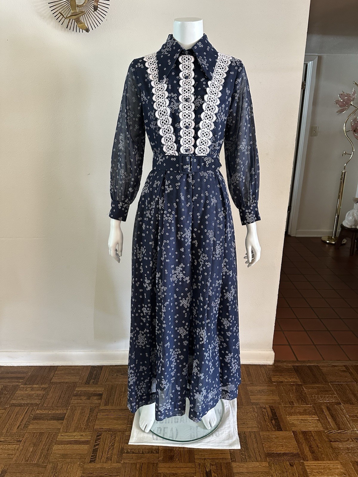 1970s Avalon Classics Dagger Collar Maxi Dress Boho Prairie Lace Daisy Print VTG