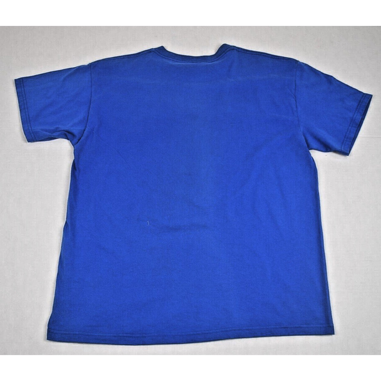 Vintage T-Shirt Fruit Loom Size M 90s Blue Texas Armadillo Cactus Western