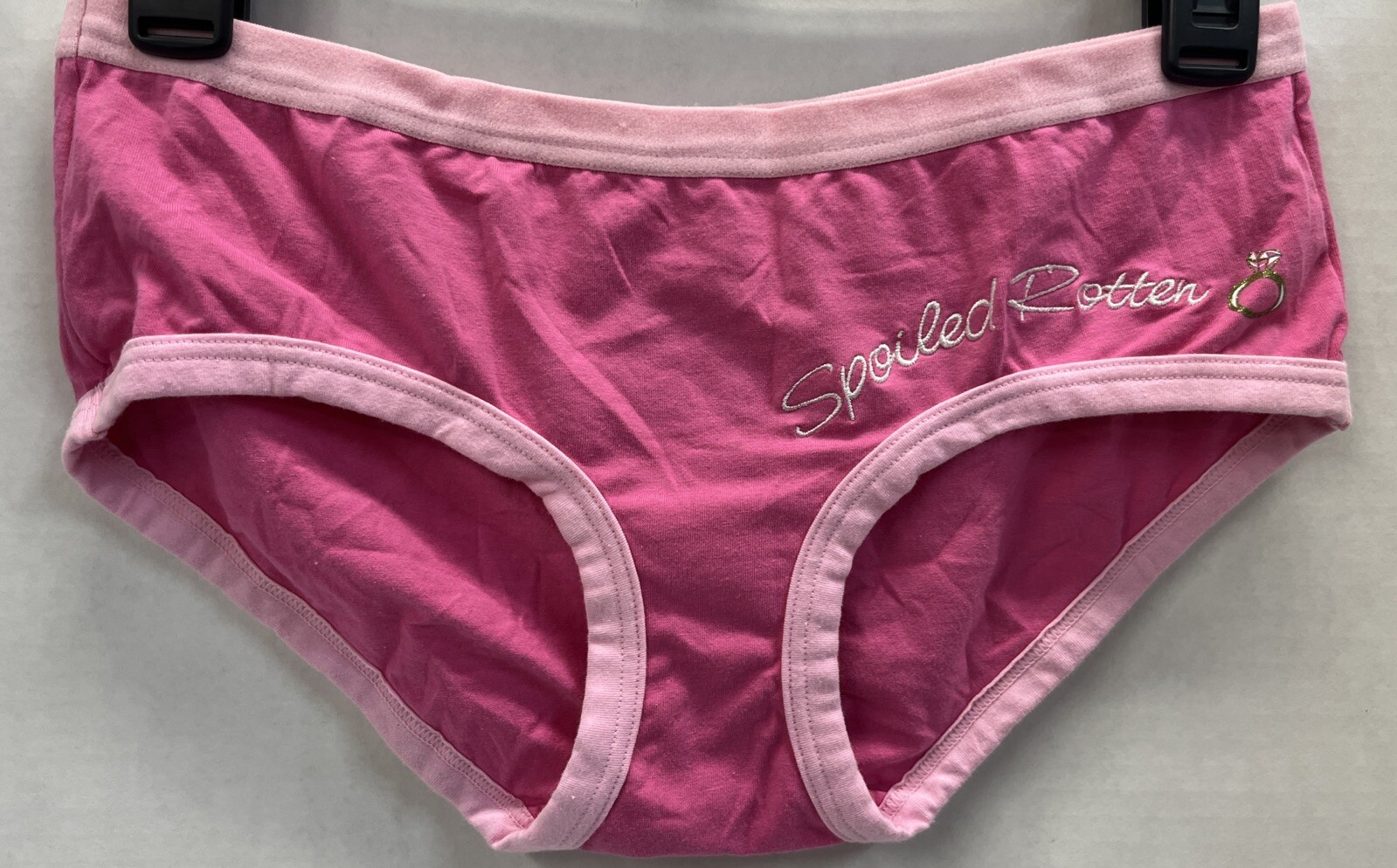 Vtg ST EVE Intimates Rare Pink Hipster Bikini Panty ”Spoiled Rotten” Embroidery