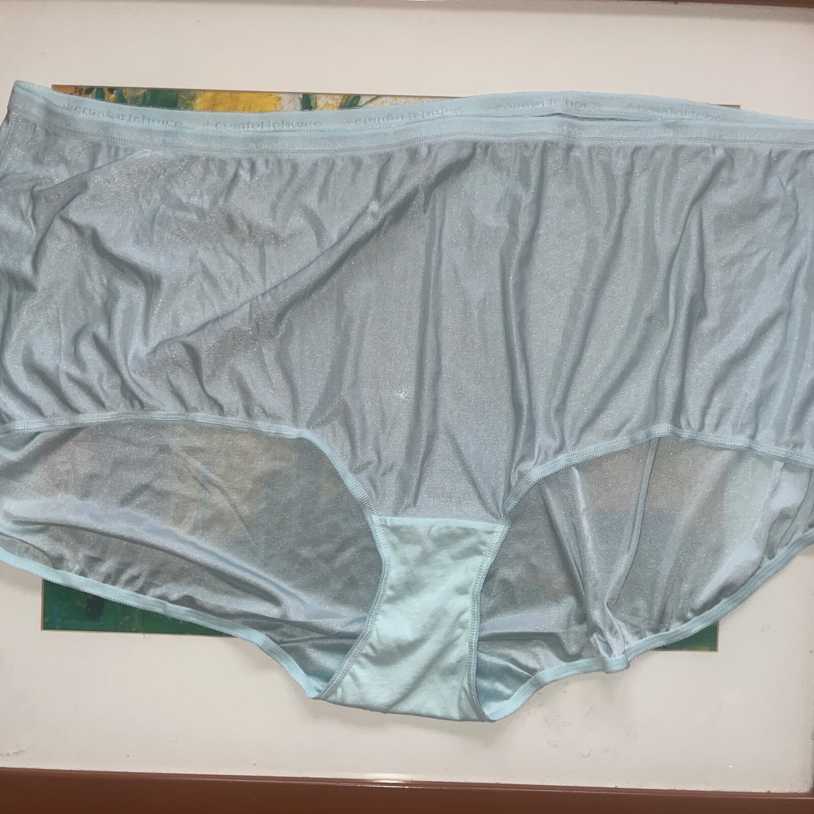 2 Panties Nylon size 16X plus, Comfort Choice brief Green And Blue