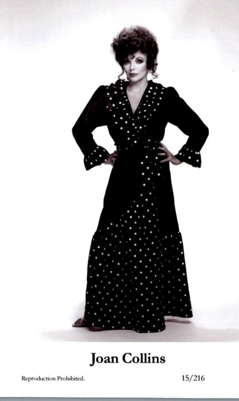 80’s joan collin’s dress and robe set