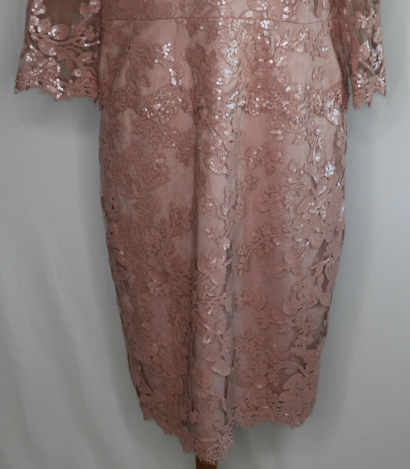 Tadashi Shoji Rose Pink Sequin Lace Floral Sheer Evening Cocktail Dress Sz 16