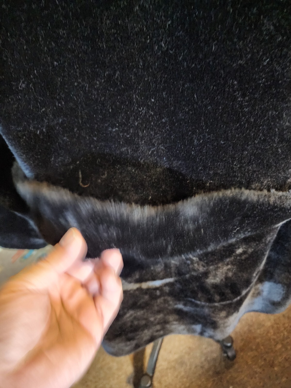 Borgana Faux Fur Black Coat Mod Size 18 Union Label Leather Accents Vintage 1960