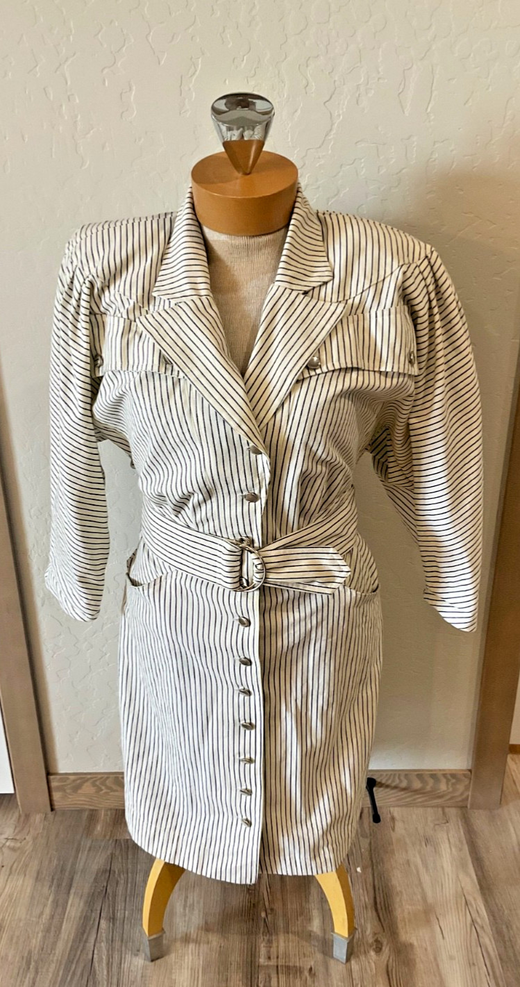 Vintage 80s Karen Alexander Pin Striped Button Down Dress w/Belt Sz 10