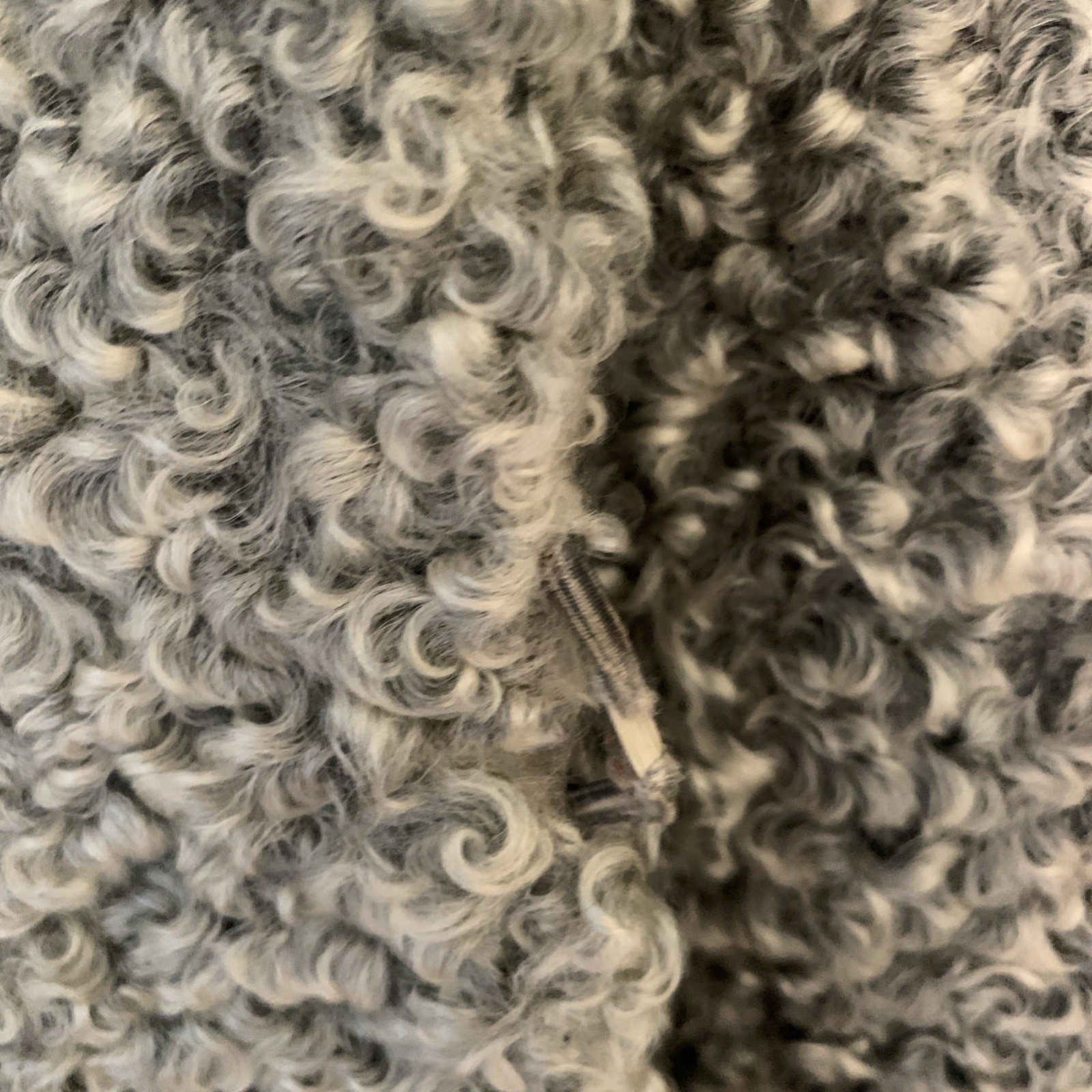 Vtg Gray Curly Persian Lamb Coat Fur Collar And Cuffs With Belt Small Truesdell
