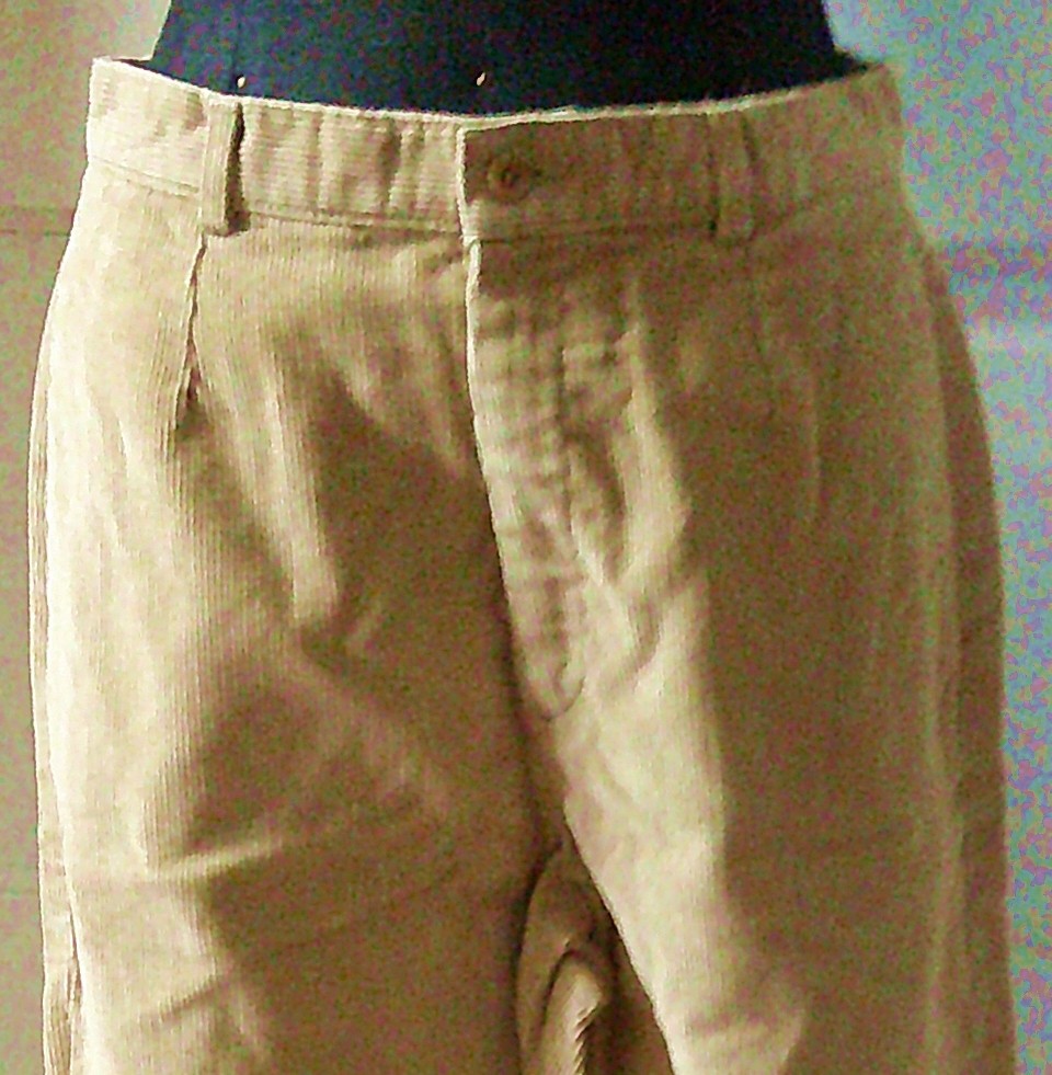 90’s LANDS’ END Ladies Tan Cords Corduroy Pants Slacks Trouser 8 Regular