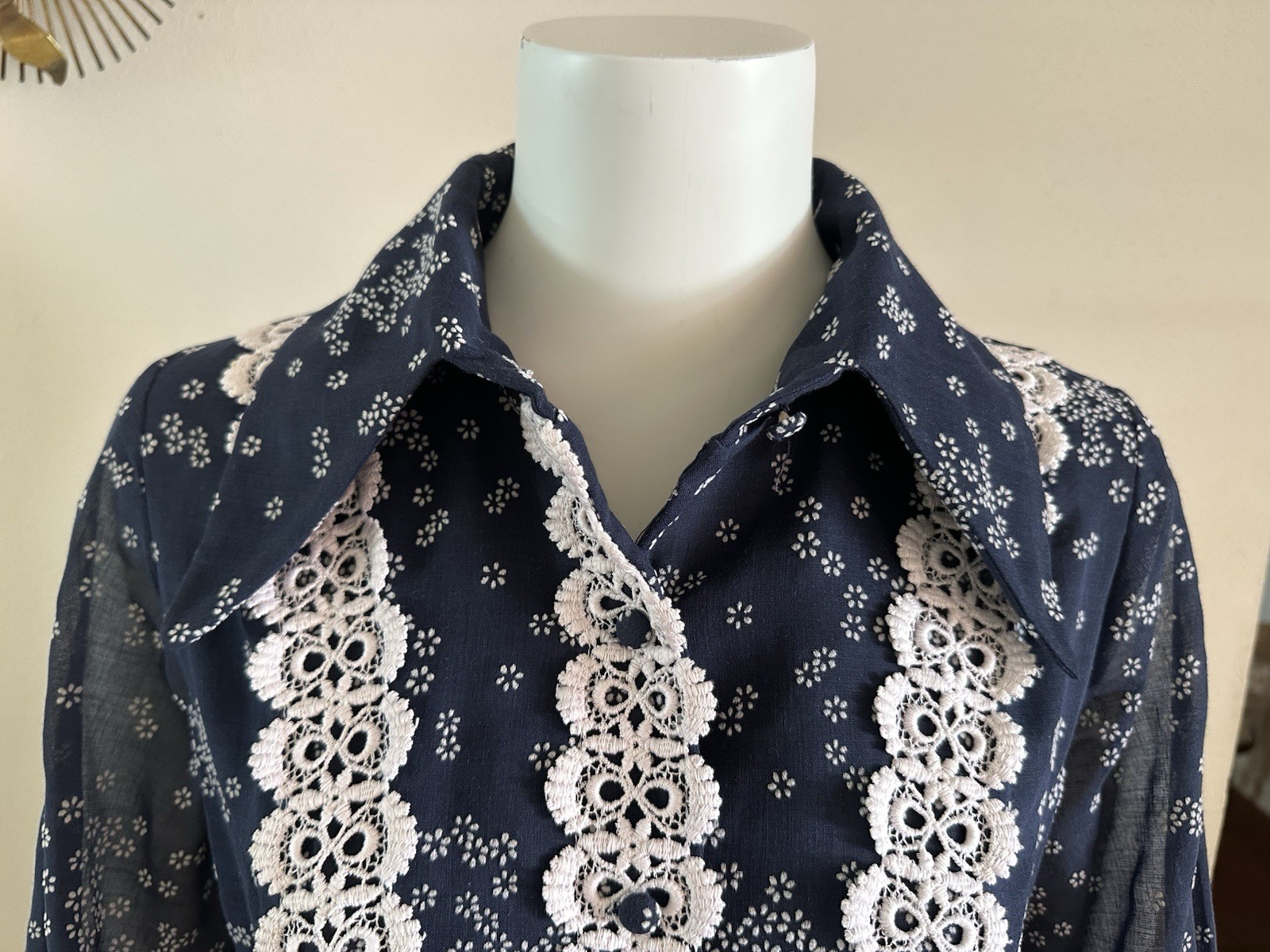 1970s Avalon Classics Dagger Collar Maxi Dress Boho Prairie Lace Daisy Print VTG