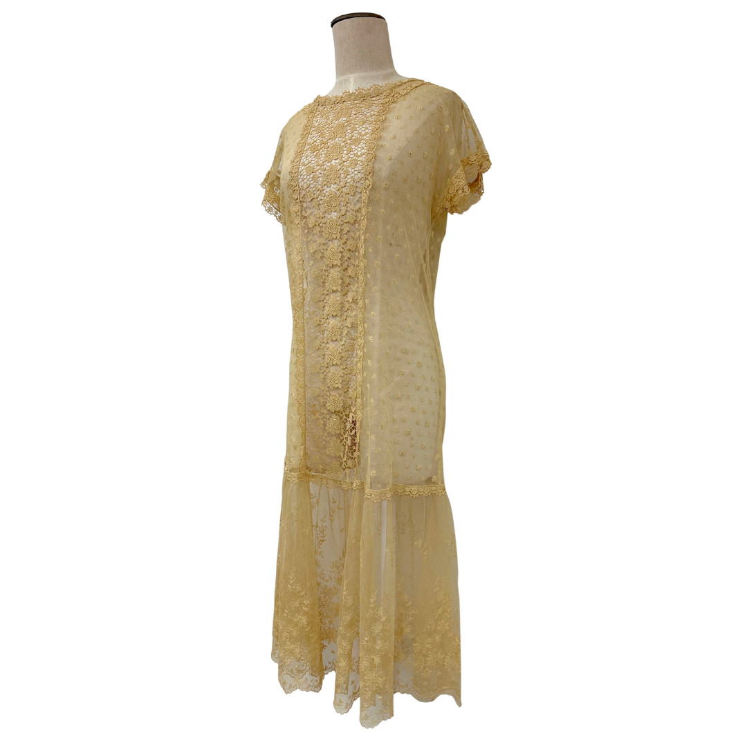 Antique 1900s Edwardian Ecru Net Lace Floral Short Sleeve Sheer Tea Dress