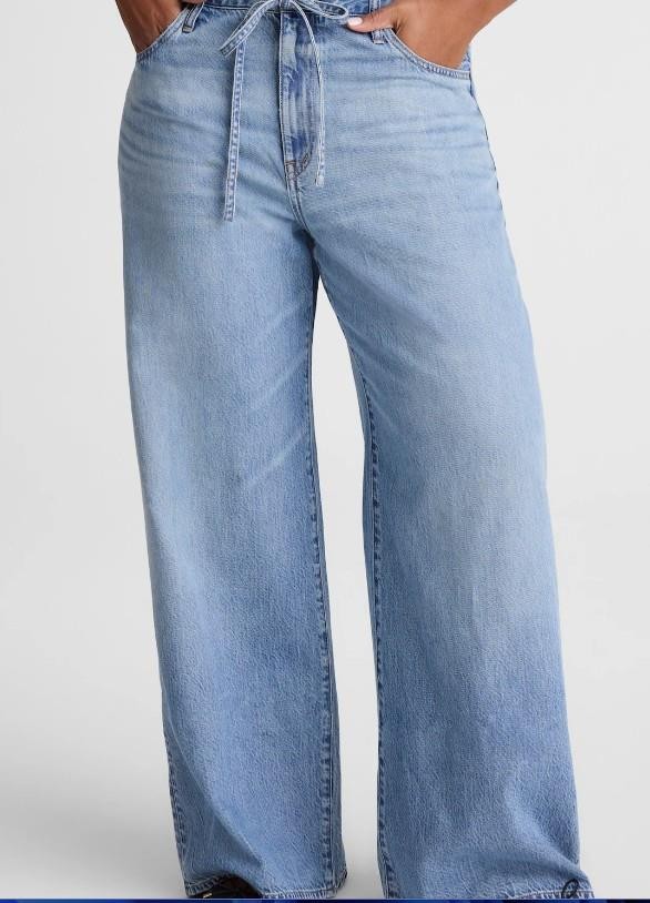 NWT Madewell The Curvy Ultimate Wide-Leg Jean in Airy Denim