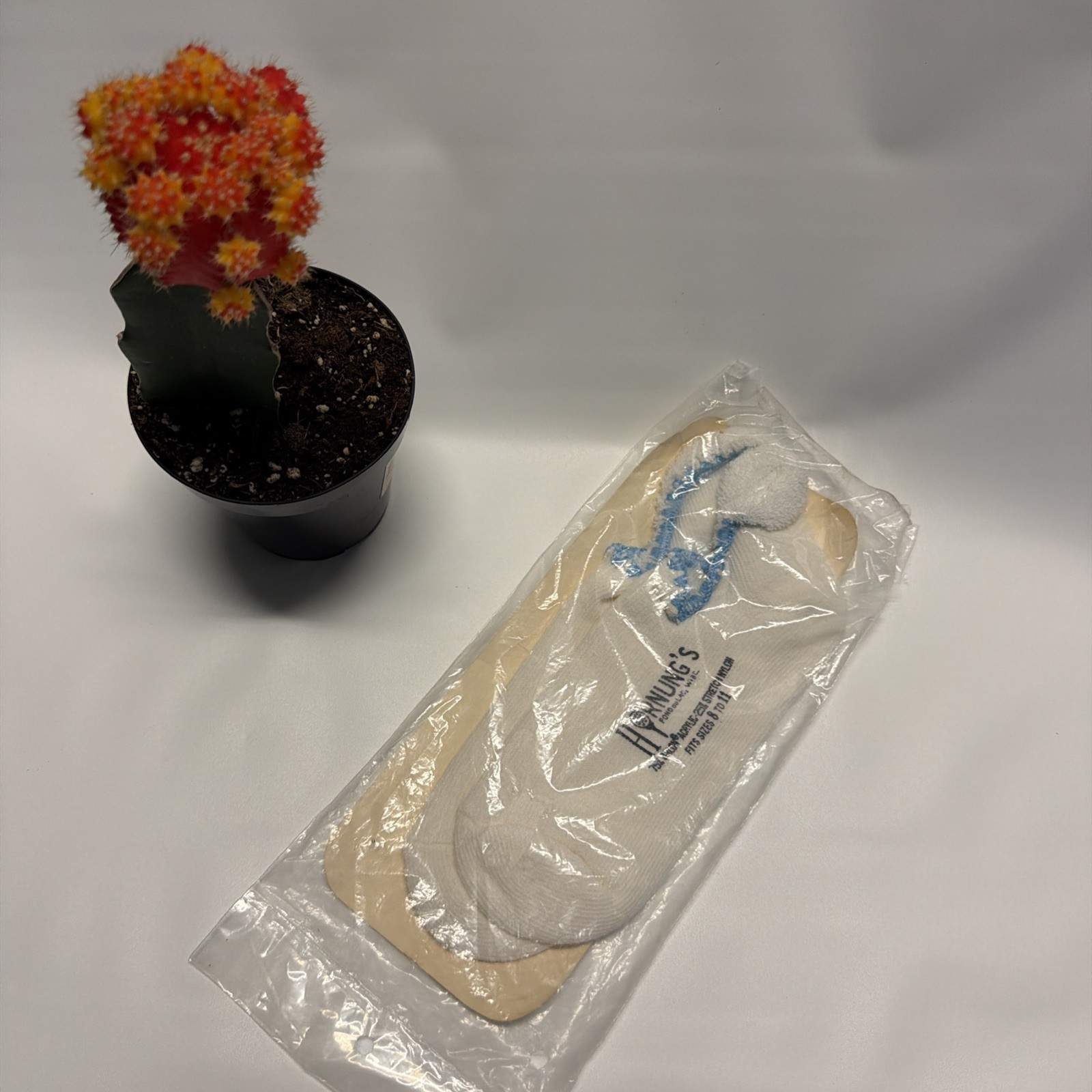 VTG Women’s Socks Ankle 8-11 Low Cut White Blue USA Hornung’s 70s 80s NOS