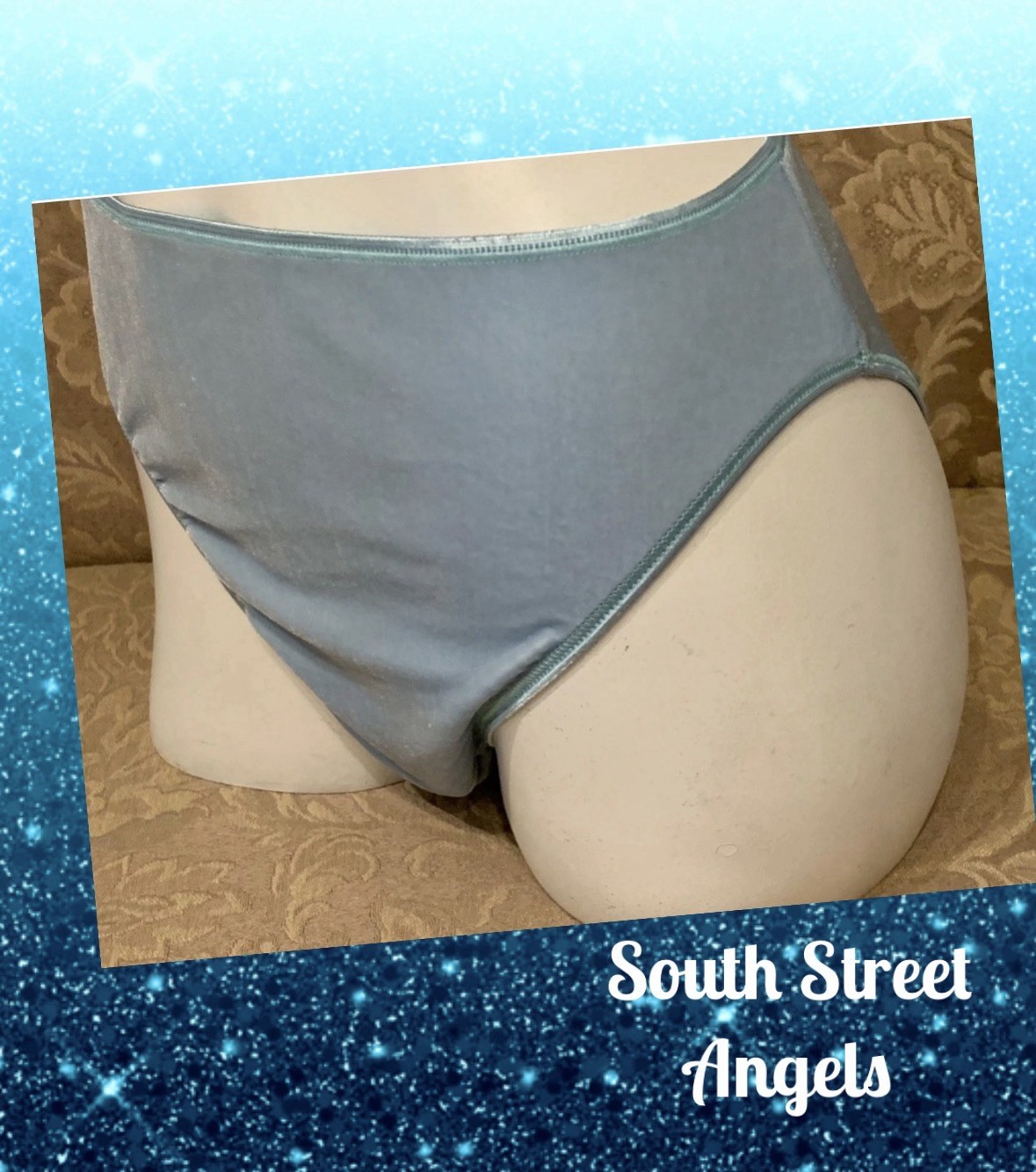 VINTAGE WARNERS BLUE VELVET ~ VELVET BEWARE SHIMMER BACK HI-CUT PANTIES ~ MEDIUM