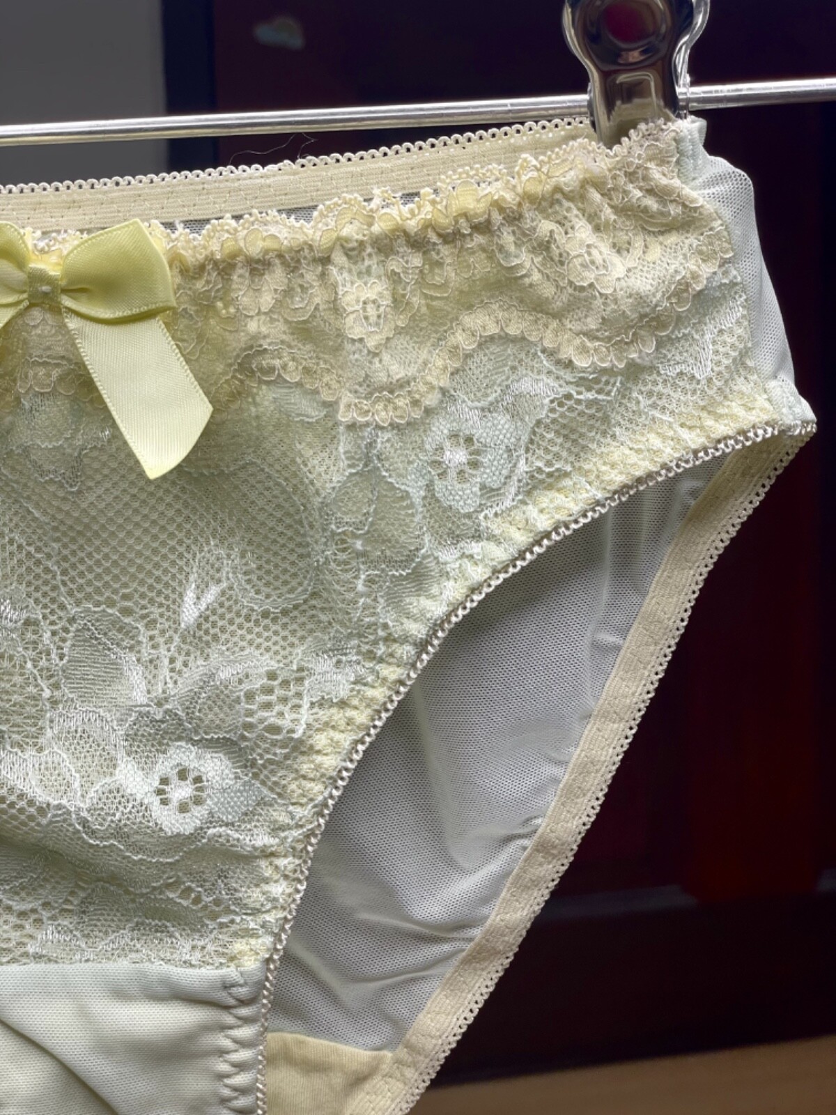 Vintage Silky Pale Nylon Mesh Sissy Panty Sz.5 Floral Lace Briefs Hip 34-37″