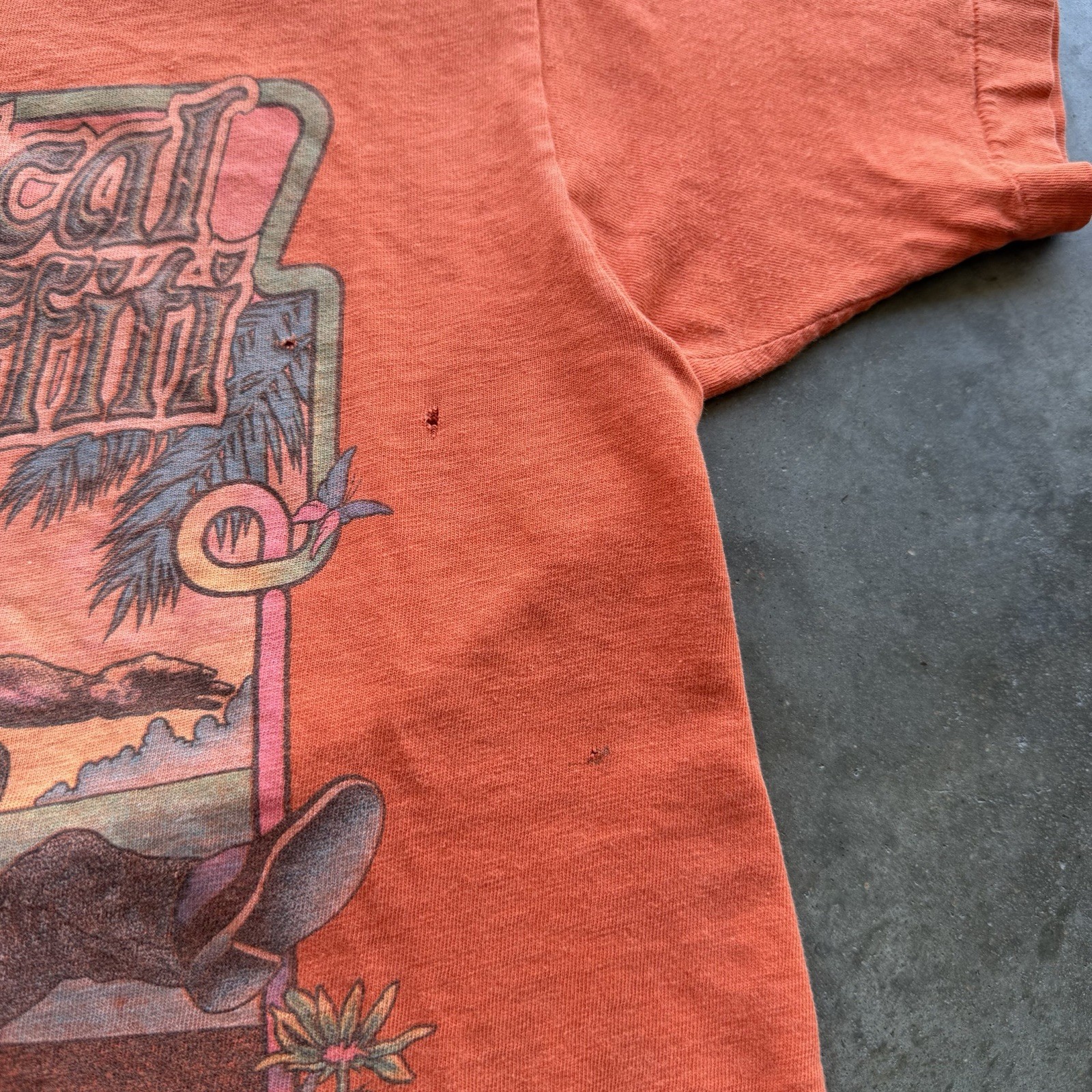 VTG 70s “Physical Graffiti” Orange Baby Skate Tee Size S Jay Adams