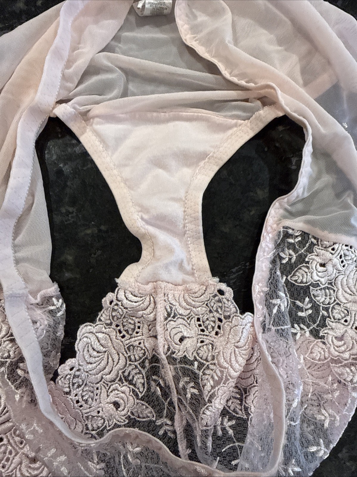 Vintage DELICATES Sheer Mesh and Lace Bikini Panties 2XL