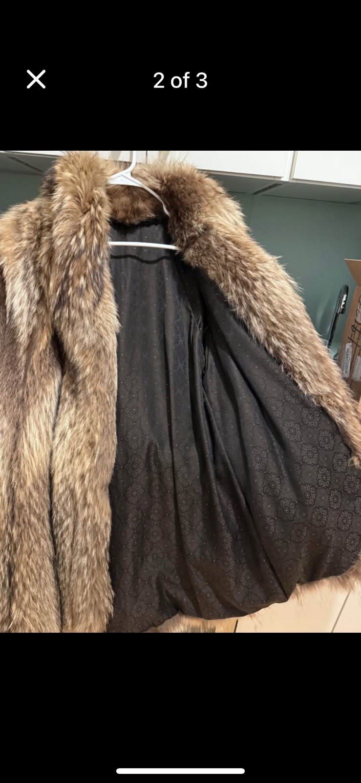 Genuine Tanuki Fur –38” Natural Brown Fur – let out full skin