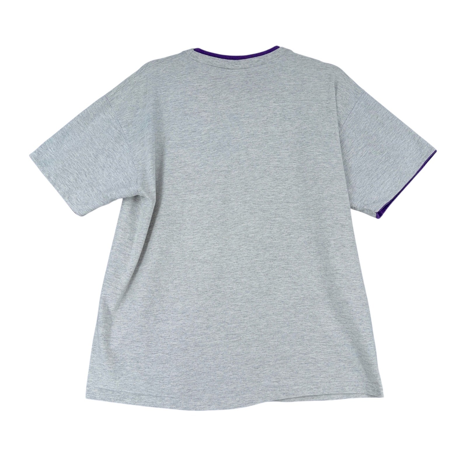 Anvil Eureka Springs Graphic T Shirt Womens Large Gray Purple Waterfall 1991